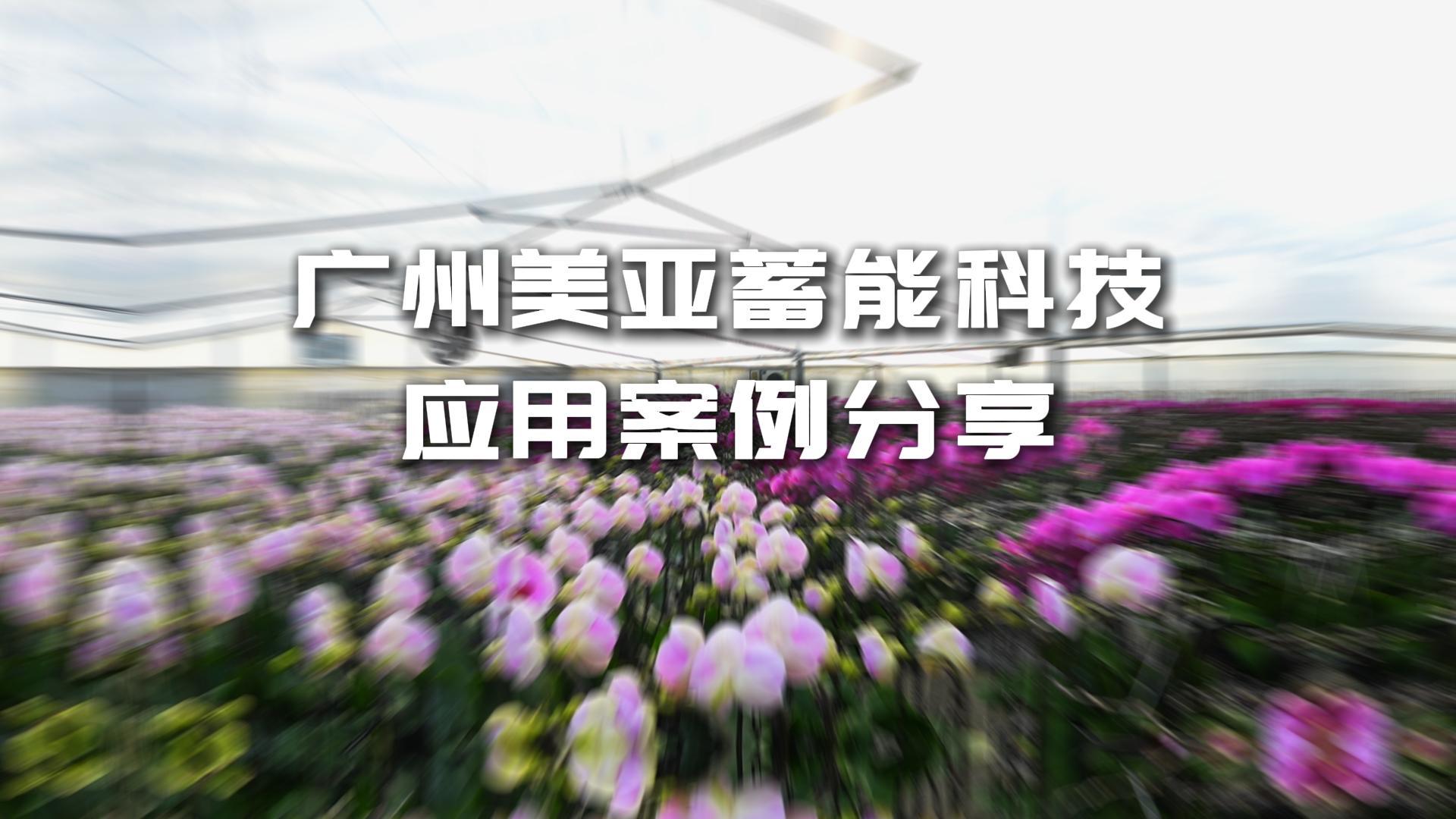 Z6ʱ(й)ٷվ